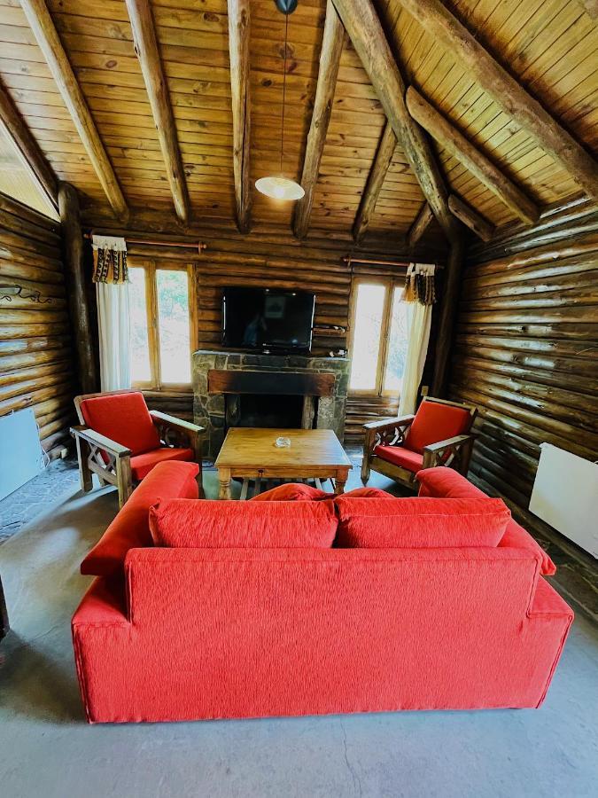 メンドーサ Cabana 17 Potrerillosヴィラ エクステリア 写真